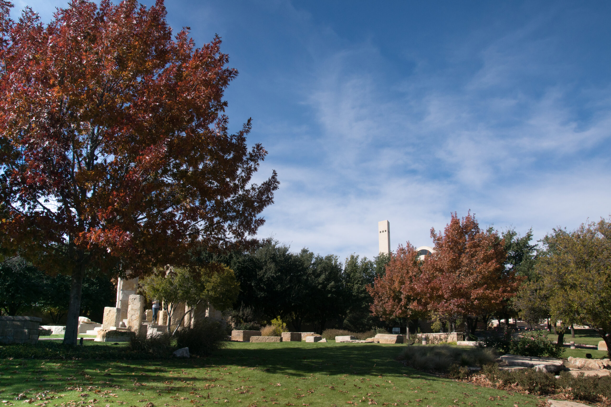 ACU is named a Tree Campus USA for the seventh year.