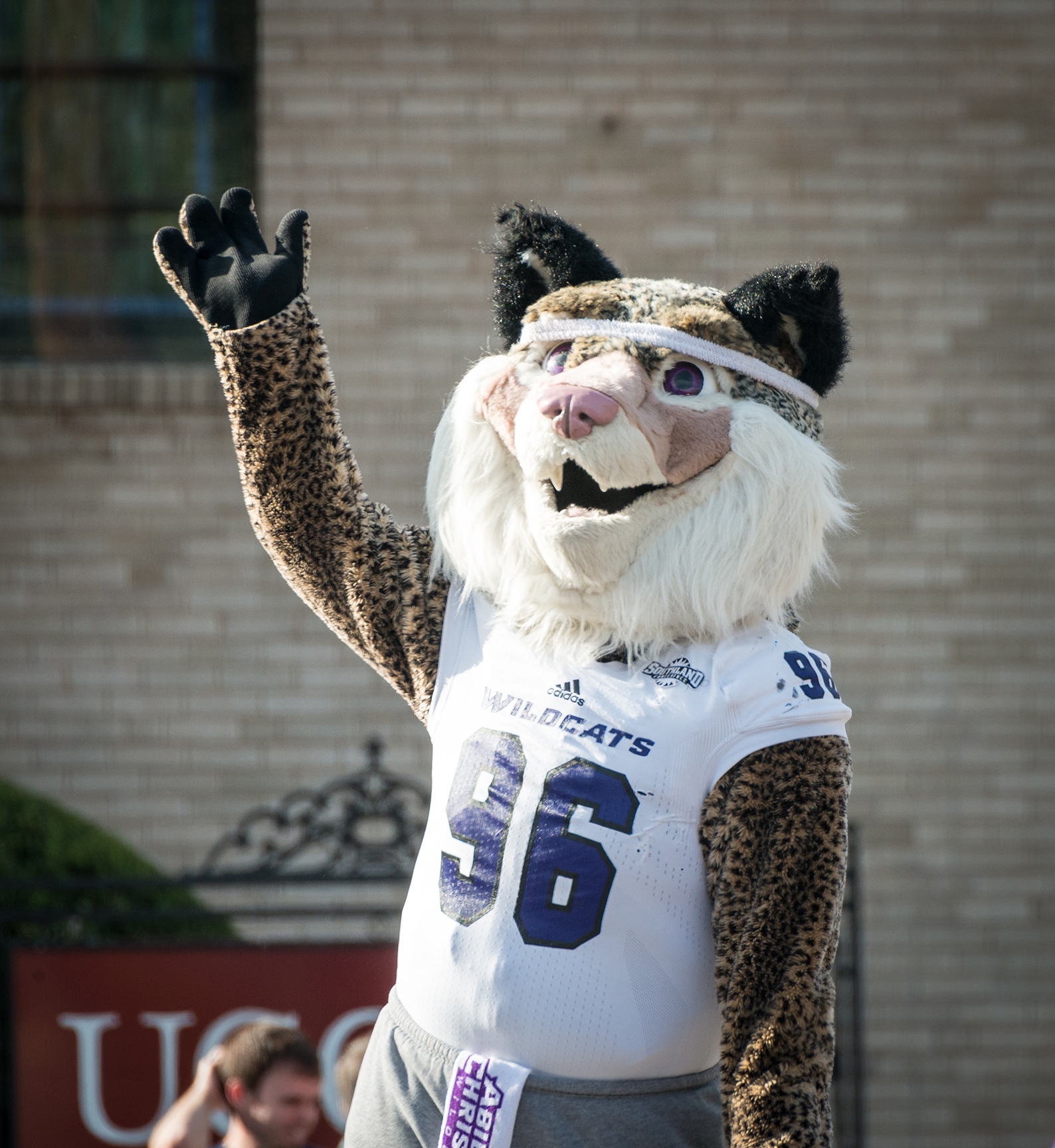 The Wildcat mascot waving hand