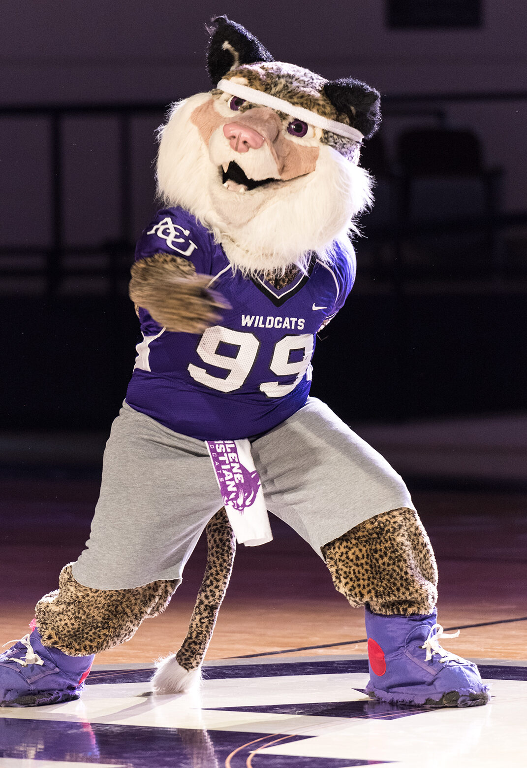 The ACU Wildcat mascot dancing