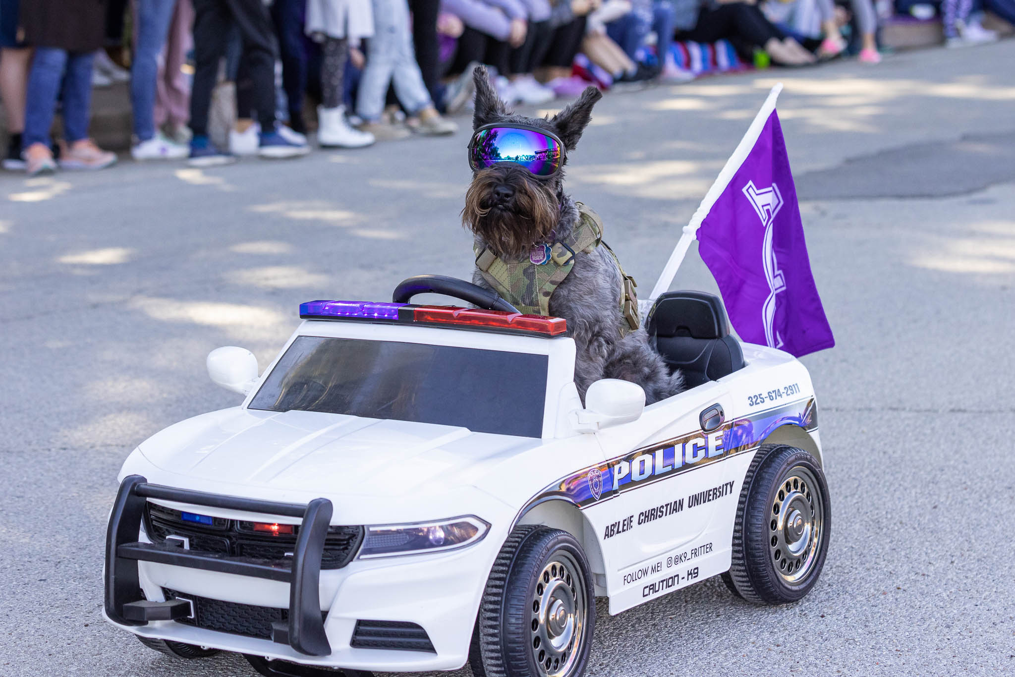 Fritter in her own police car during Homecoming