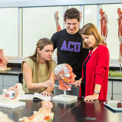 ACU professor with students in a biology lab discussing human anatomy
