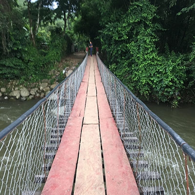 Bridge suspended over jungle river