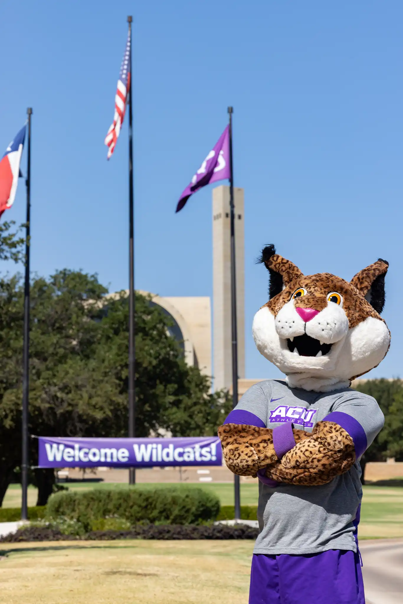 Willie the Wildcat stands in front of a banner reading 