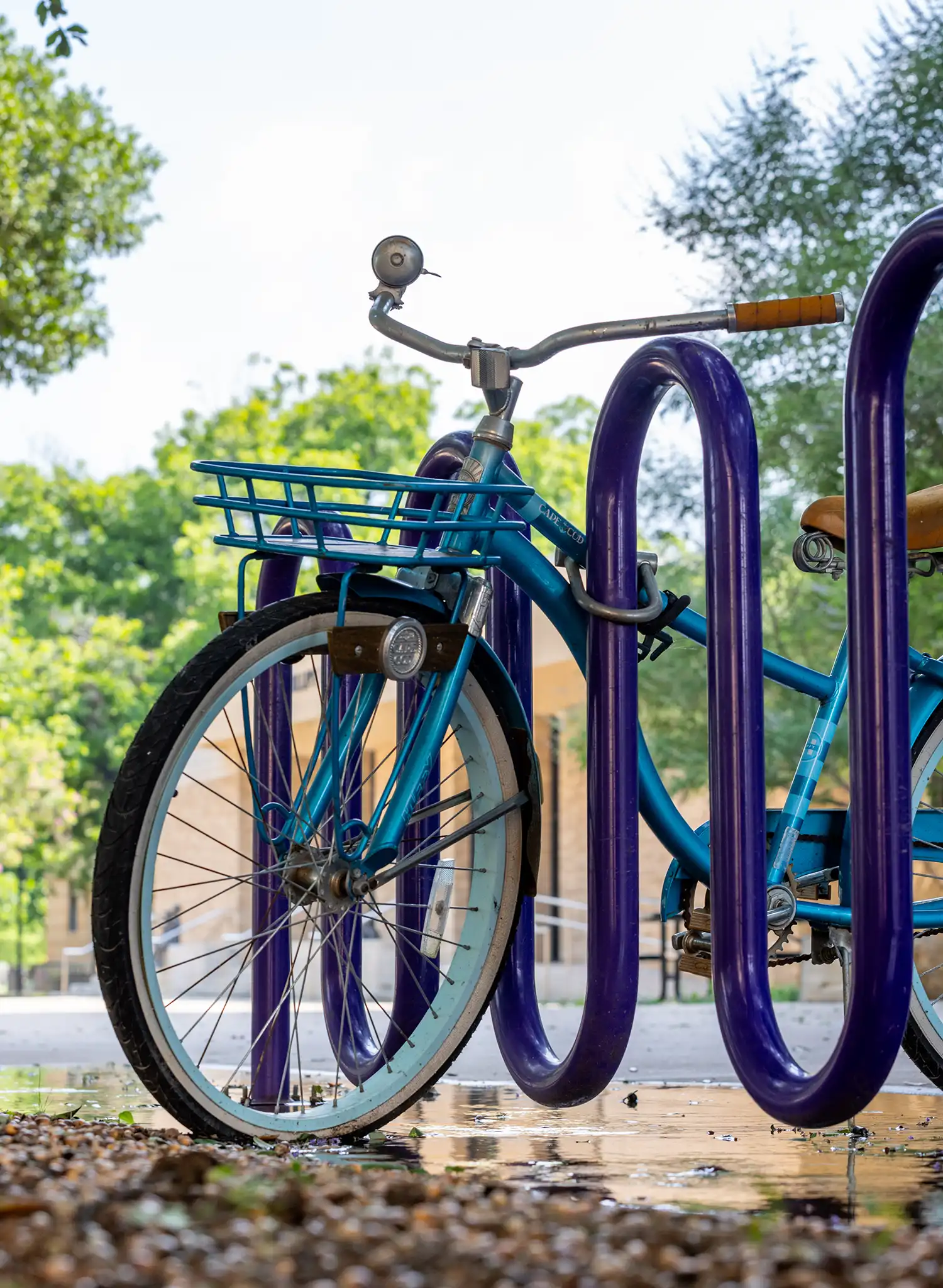 Bicycle locked to a bike rack on campus.