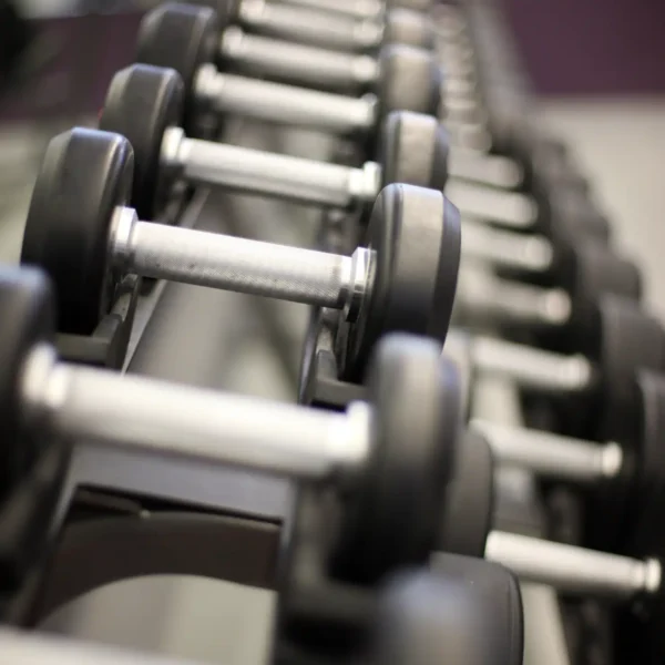 Closeup view of a weight rack in the fitness center.