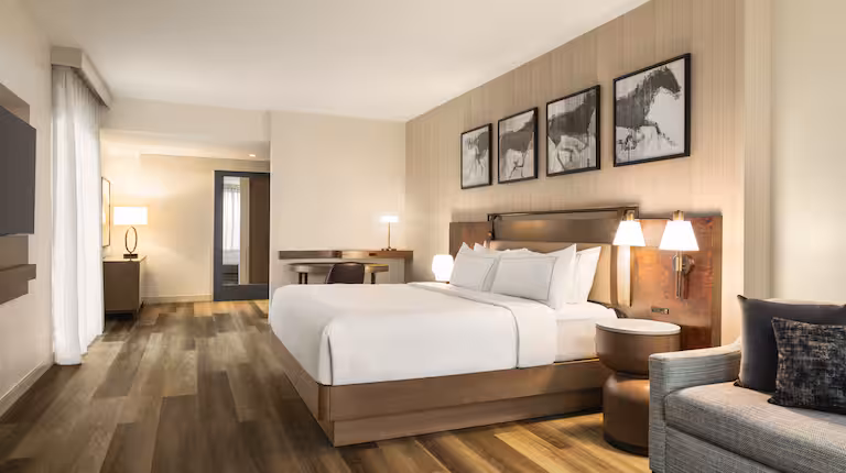 DoubleTree by Hilton King Bed Room
